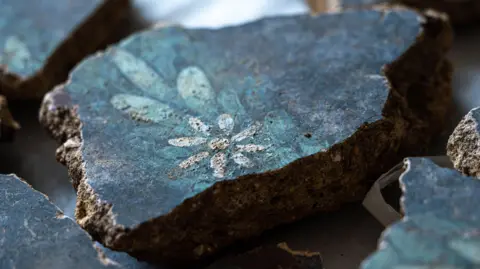 Tony Jolliffe/BBC News Small piece of wall plaster with a black background, lighter blue painted leaves and a white daisy made of a central white circle and seven petals. A few other fragments of the plaster can also be seen at the edges of the image.