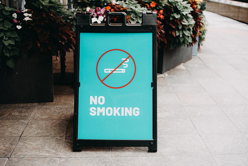 Sign displays "No Smoking," with a crossed-out cigarette icon, standing on a tiled walkway next to vibrant plants