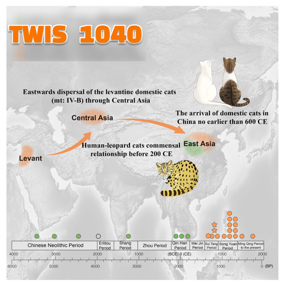 03 December, 2025 – Episode 1040 – What’s in a Name?