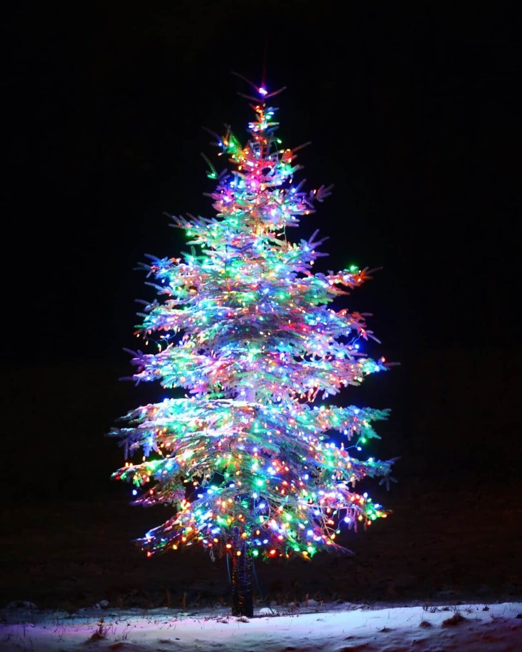 Currently Crushing On. – How Sweet Eats