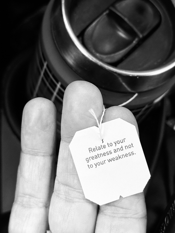 My Everyday Life Week 50 of 2025- Tracy Benjamin of Shutterbean.com