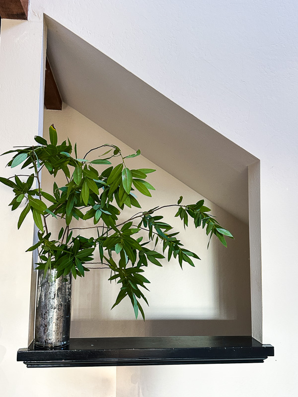 My Everyday Life Week 50 of 2025- Tracy Benjamin of Shutterbean.com