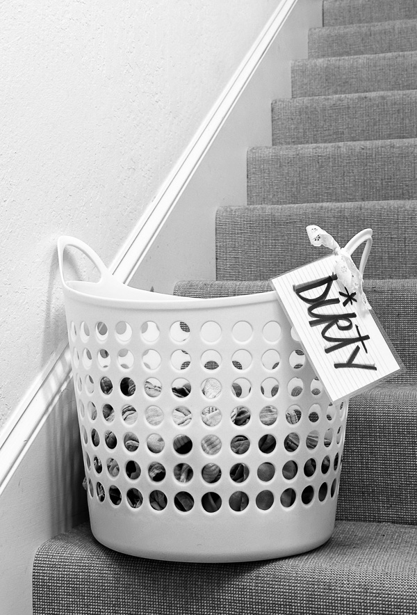 My Everyday Life Week 50 of 2025- Tracy Benjamin of Shutterbean.com